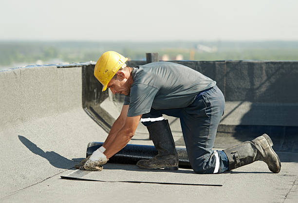 Best DIY Insulation Kits and Guidance in Lawrenceburg, IN
